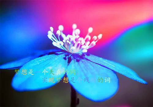 重生：学霸和软萌校花的完美人生（夏栀胡斐）全文免费阅读无弹窗大结局_（重生：学霸和软萌校花的完美人生无弹窗）夏栀胡斐最新章节列表阅读_笔趣阁