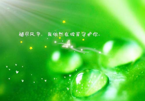 陆北淮陆嘉禾（陆嘉禾陆北淮全文阅读）全文免费阅读无弹窗大结局_陆北淮陆嘉禾最新章节列表_笔趣阁（陆嘉禾陆北淮全文阅读）