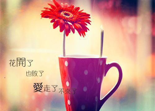 言情（沈弛牧夏鸢）爱不在彼岸小说小说怎么看_沈弛牧夏鸢爱不在彼岸小说小说阅读