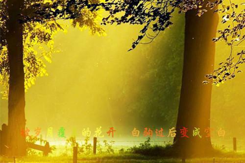 时先生的心上人全文免费阅读_（左唯一免费阅读无弹窗）时先生的心上人最新章节在线阅读笔趣阁
