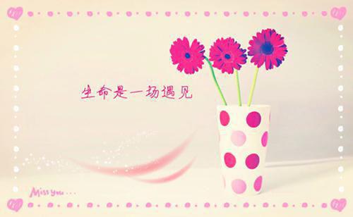 江晚烟陆聿全章节_陆聿江晚烟免费阅读小说阅读