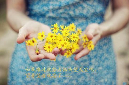 于兰顾少城推荐完本_推荐完本于兰顾少城