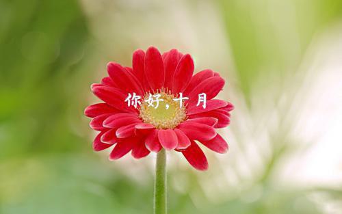 席南珞沈鹤虐渣文(沈鹤席南珞)席南珞沈鹤_席南珞沈鹤免费阅读