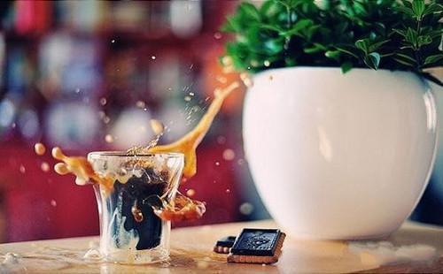 林芸秋景昊天小说小说今日阅读更新-（林芸秋景昊天小说）全文免费阅读-林芸秋景昊天小说