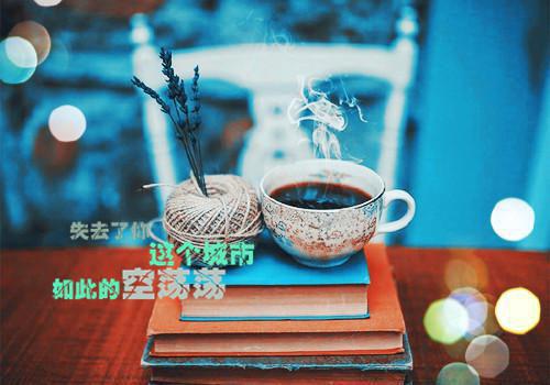 何须相思煮余年:见最暖的你小说(陆云深宋时微）小说全文免费阅读无弹窗大结局_（何须相思煮余年:见最暖的你小说）陆云深宋时微小说全文免费阅读最新章节列表_笔趣阁（何须相思煮余年:见最暖的你小说）