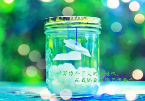 全本带崽回国后，总裁上门认亲了（沈慕城,沈慕诚,王俊轩）最新章节列表_全本带崽回国后，总裁上门认亲了全文阅读