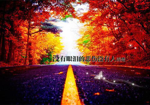 苏婧瑶君泽辰(引诱太子后她成了东宫新主）全文免费阅读无弹窗大结局_苏婧瑶君泽辰最新章节列表_笔趣阁（苏婧瑶君泽辰）