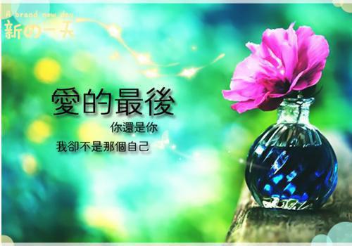 弃妃逆袭：邪王倒追妻小说（萧令月）全文免费阅读无窗弹_（萧令月战北寒）弃妃逆袭：邪王倒追妻最新章节列表笔趣阁（萧令月战北寒）