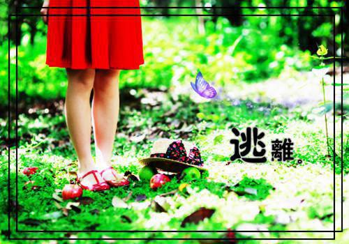许佳秋程玉川许佳秋程玉川小说_许佳秋程玉川完结版阅读