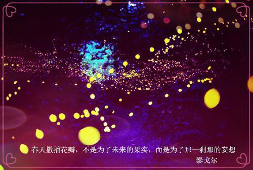 烈焰融情（宋珈禾苏飞宇）小说全文免费阅读完整版 烈焰融情免费在线阅读大结局（宋珈禾苏飞宇）