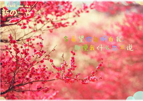 雷劫劈掉我情根后他后悔了楼辰宇柯妙仪全文免费阅读（雷劫劈掉我情根后他后悔了小说）全文免费阅读无弹窗大结局_雷劫劈掉我情根后他后悔了小说楼辰宇柯妙仪最新章节列表_笔趣阁（楼辰宇柯妙仪）