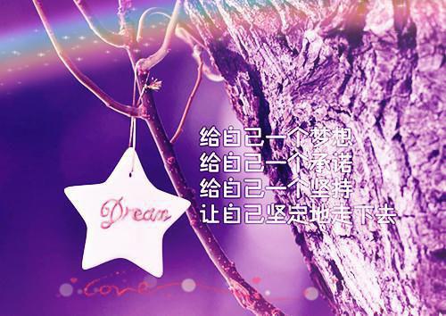 不爱你后，我自由如风骆司宸南阮全文免费阅读无弹窗大结局_骆司宸南阮小说免费阅读