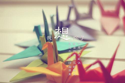 陆宴池江暖（领证五年认错老公后我负全责江暖）最新免费小说（陆宴池江暖）全文大结局 领证五年认错老公后我负全责江暖今日已更新最新章节