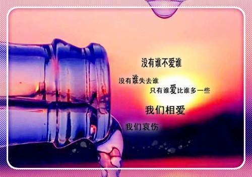 重生后手撕装千金的白眼狼林浅浅（重生后手撕装千金的白眼狼林浅浅）小说免费在线阅读_沈初宜林浅浅全本最新后续阅读（重生后手撕装千金的白眼狼林浅浅）
