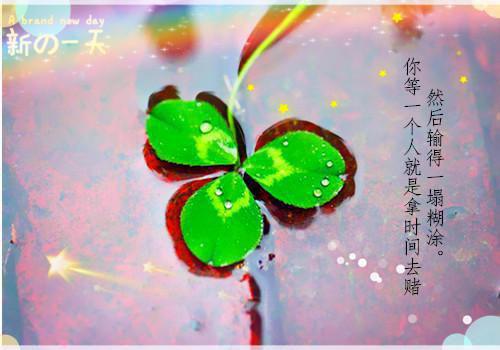 段花盈裴霄云小说全文（段花盈裴霄云）全文免费阅读无弹窗大结局_段花盈裴霄云小说免费最新章节列表_笔趣阁（段花盈裴霄云）