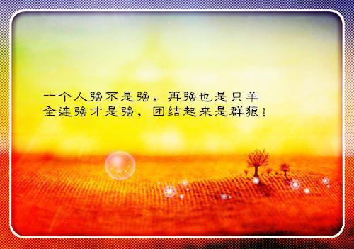 袖手扶摇小说全文免费阅读(林凡陈嘉仪)全文在线阅读无弹窗大结局_(袖手扶摇小说林凡陈嘉仪)袖手扶摇小说在线阅读无弹窗最新章节列表_笔趣阁(林凡陈嘉仪)