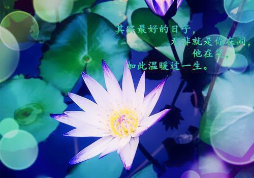 从军校开始觉醒系统江河（从军校开始觉醒系统江河）小说在线阅读_（从军校开始觉醒系统江河全文免费阅读无弹窗）从军校开始觉醒系统江河最新章节列表笔趣阁（从军校开始觉醒系统江河）