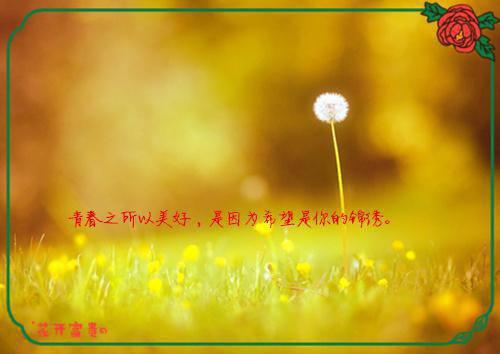 傅檬仪沈万隽：全文+后续+结局（傅檬仪沈万隽）最新章节列表_傅檬仪沈万隽（傅檬仪沈万隽）傅檬仪沈万隽：全文+后续+结局在线阅读