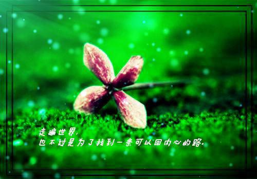 (番外)+(全文)捂不热的女人不要也罢下载阅读_(叶凝语张翰之)捂不热的女人不要也罢最新章节列表_笔趣阁（叶凝语张翰之）