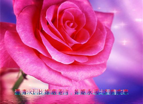 林淼淼符岩小说（林淼淼符岩小说）全文免费阅读无弹窗大结局_林淼淼符岩列表_笔趣阁（林淼淼符岩小说）