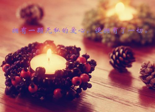凤凰血脉被偷换，重生后我涅槃了云月凤珩玄霜凤洛免费小说在哪看_全本免费完结小说凤凰血脉被偷换，重生后我涅槃了云月凤珩玄霜凤洛_小说完整版凤凰血脉被偷换，重生后我涅槃了云月凤珩玄霜凤洛_凤凰血脉被偷换，重生后我涅槃了