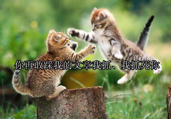 晏巍恺鹿可可（鹿可可晏巍恺）完整全文在线阅读_鹿可可晏巍恺小说全章节目录阅读（晏巍恺鹿可可）