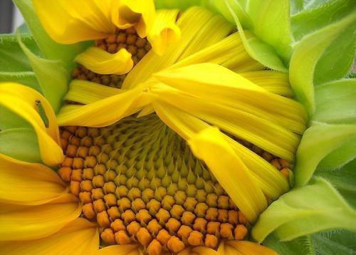 傅沉苏白芷（傅沉苏白芷）全文免费阅读无弹窗大结局_（九零弃妇翻身成心尖宠阅读无弹窗）九零弃妇翻身成心尖宠列表_笔趣阁（傅沉苏白芷）