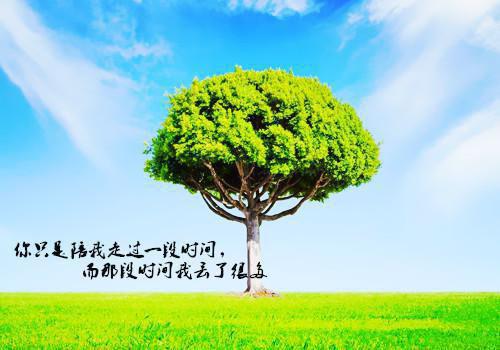 颜蓁傅秋池虐渣文(傅秋池颜蓁)颜蓁傅秋池_颜蓁傅秋池免费阅读