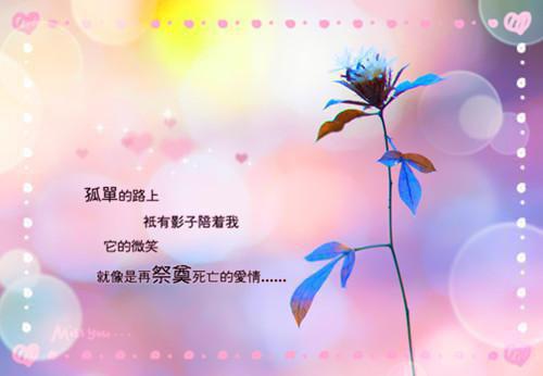 戚宁况霆小说（戚宁况霆）全文免费阅读无弹窗大结局_戚宁况霆小说_笔趣阁（戚宁况霆）