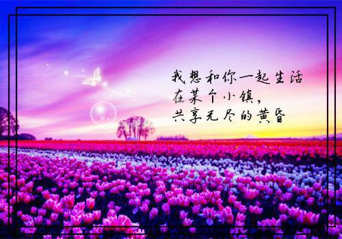 叶以念陆宸姜淮小说(叶以念陆宸姜淮)全文免费阅读无弹窗大结局_ (叶以念陆宸姜淮免费阅读)最新章节列表_笔趣阁（叶以念陆宸姜淮）