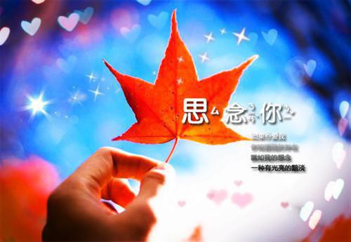 回到八零林场，赶山做个万元户（赵明阳）完整版小说阅读_回到八零林场，赶山做个万元户全文免费阅读最新章节列表_笔趣阁