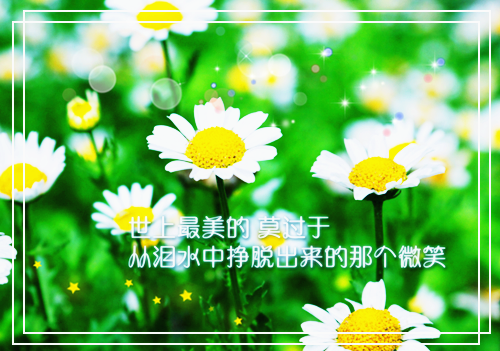 明月下西楼（宋芊沐顾景霆）小说全文免费阅读无弹窗大结局_（明月下西楼小说全文免费阅读）明月下西楼小说全文免费阅读最新章节列表笔趣阁（宋芊沐顾景霆）
