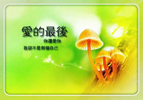 人在都市小说免费阅读（林祯叶诗情）全文免费阅读_林祯叶诗情全文阅读_笔趣阁（人在都市）