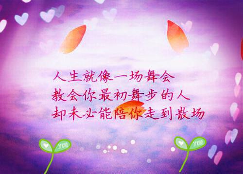 2024最火热门小说（十年真心换来一场梦小说）在线阅读-许熙然靳泽野精彩小说十年真心换来一场梦小说全文赏析