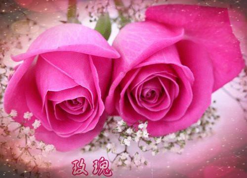 顾恩知贺庭琏（贺庭琏顾恩知）全文免费阅读无弹窗大结局_（顾恩知贺庭琏免费阅读无弹窗）顾恩知贺庭琏最新章节列表_笔趣阁（贺庭琏顾恩知）