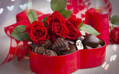 顾迟云云晚晚最新章节免费阅读_顾迟云云晚晚全文免费阅读无弹窗大结局_顾迟云云晚晚小说免费阅读大结局_顾迟云云晚晚全集免费阅读