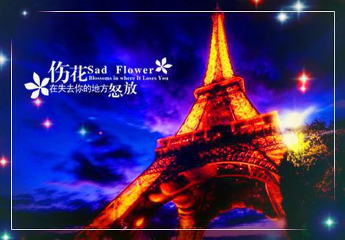 状元长成记小说（谢喏如 ）全文免费阅读无弹窗大结局_（状元长成记）谢喏如 免费阅读最新章节列表笔趣阁（状元长成记）