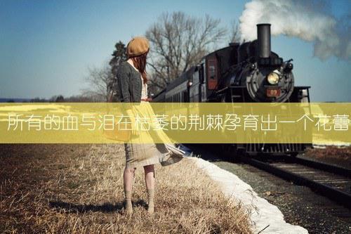 且停且忘且随风/封心锁爱独自行：结局+番外现已上架(颜以溪贺宴辞)免费小说免费阅读_免费小说完结且停且忘且随风/封心锁爱独自行：结局+番外现已上架颜以溪贺宴辞