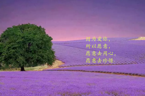 温南枝沈清宴（温南枝沈清宴 /烟火照夜白：结局+番外新鲜出炉：结局+番外）全文免费阅读无弹窗大结局_(温南枝沈清宴 )最新章节列表_笔趣阁（温南枝沈清宴 /烟火照夜白：结局+番外新鲜出炉：结局+番外）