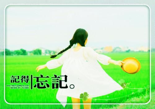 九十九次原谅：结局+番外倾心编著（齐宇林嫣然张辰逸）最终终章全书在线下载阅读无干扰