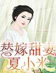 替嫁甜妻夏小米