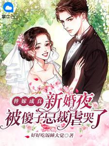 齐悦悦沈寒明